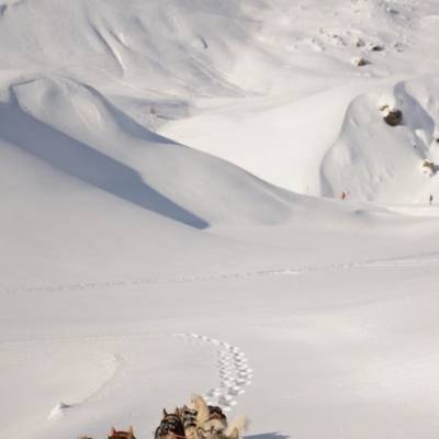 husky sledding in Orcières ski resort.jpg